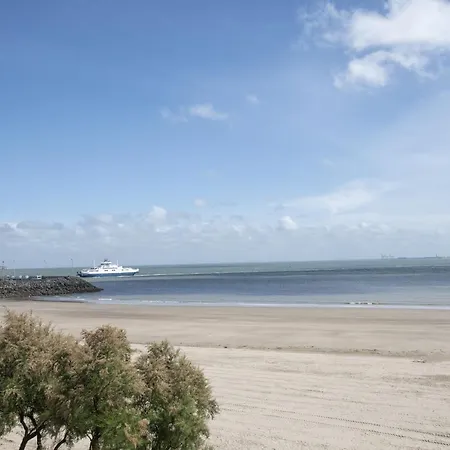T2 Tout Equipe Fibre Plein Centre Apartment Royan